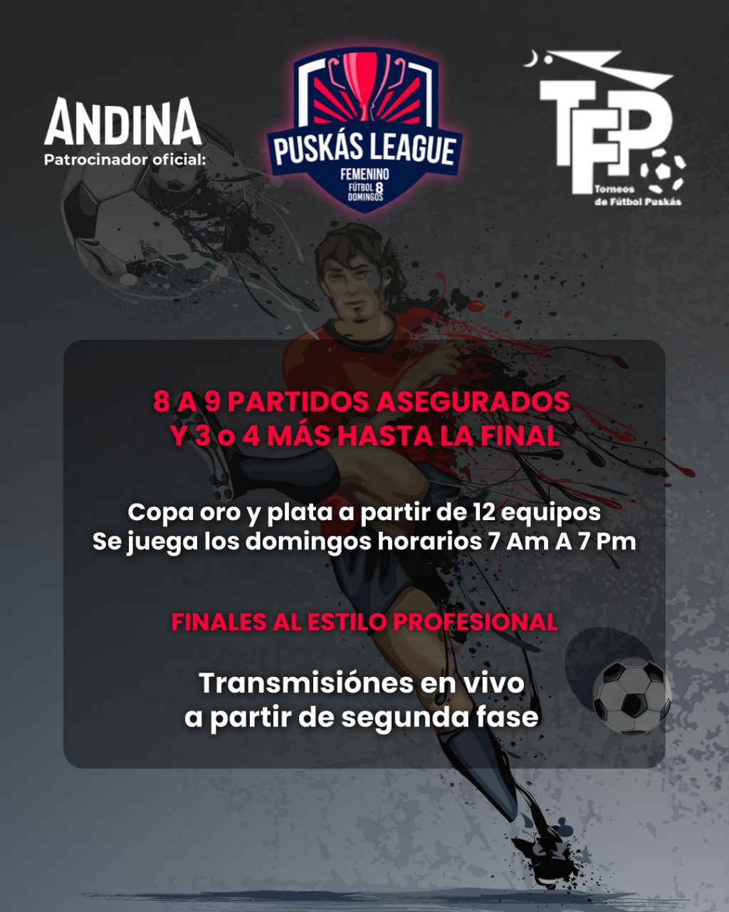 PARTIDOS