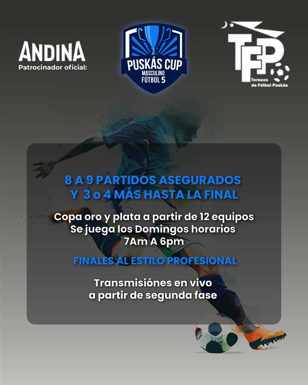 PARTIDOS