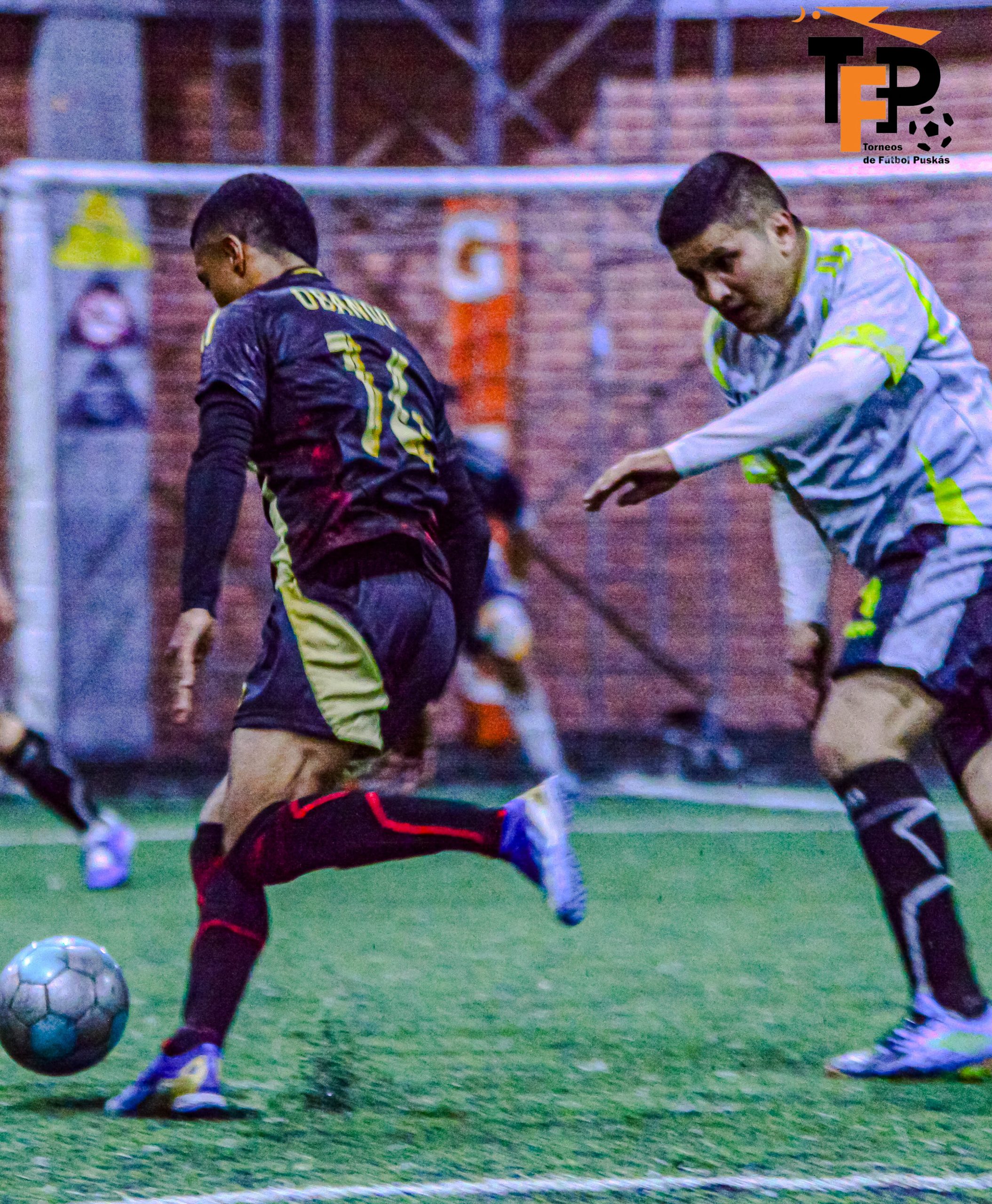 InShot_20251002_012444189